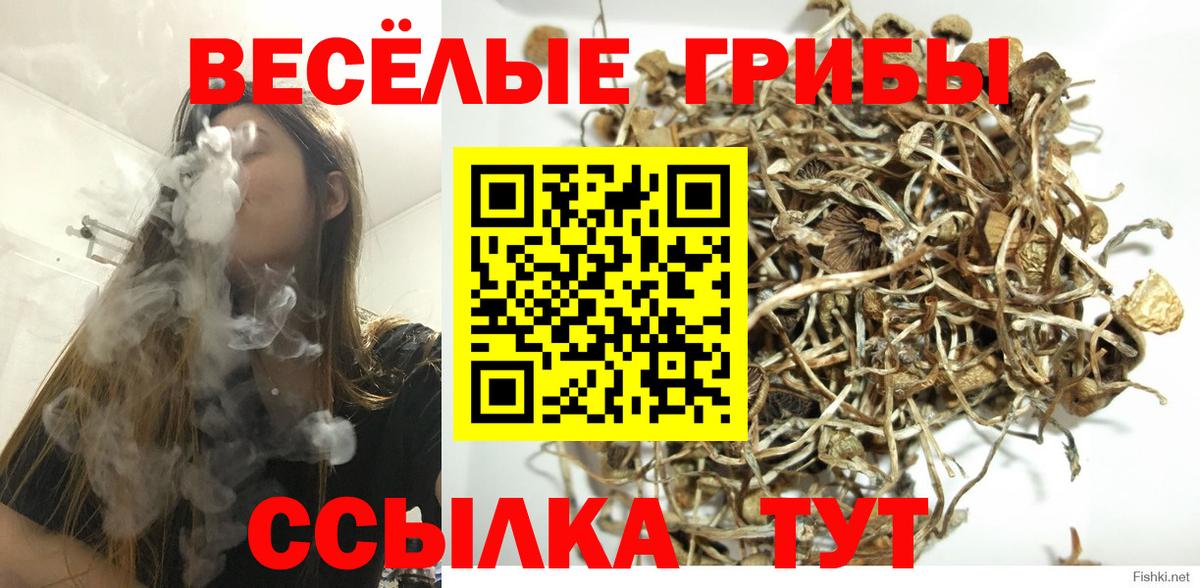 Псилоцибиновые грибы Cubensis  Вход с VPN  Рыбинск  Галлюциногенные грибы Cubensis 